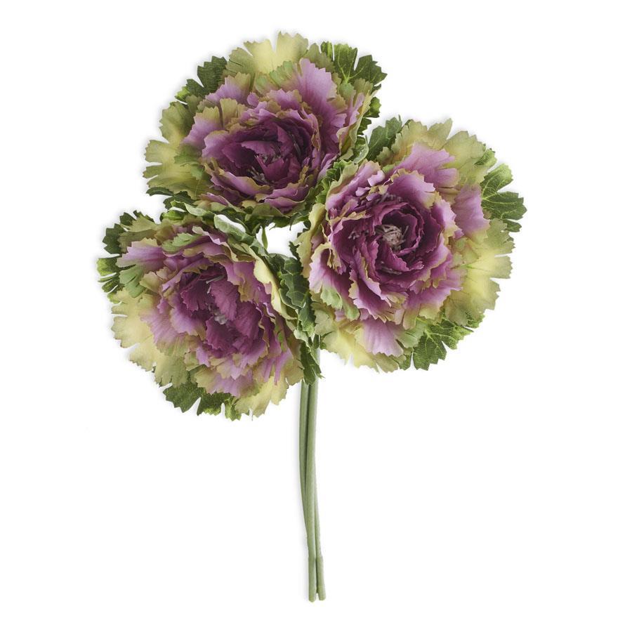 cabbage kale stem
