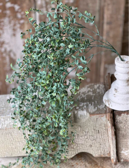 Shivery hanging greens