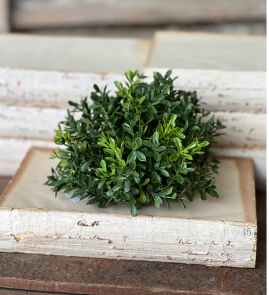 Boxwood half sphere 7”