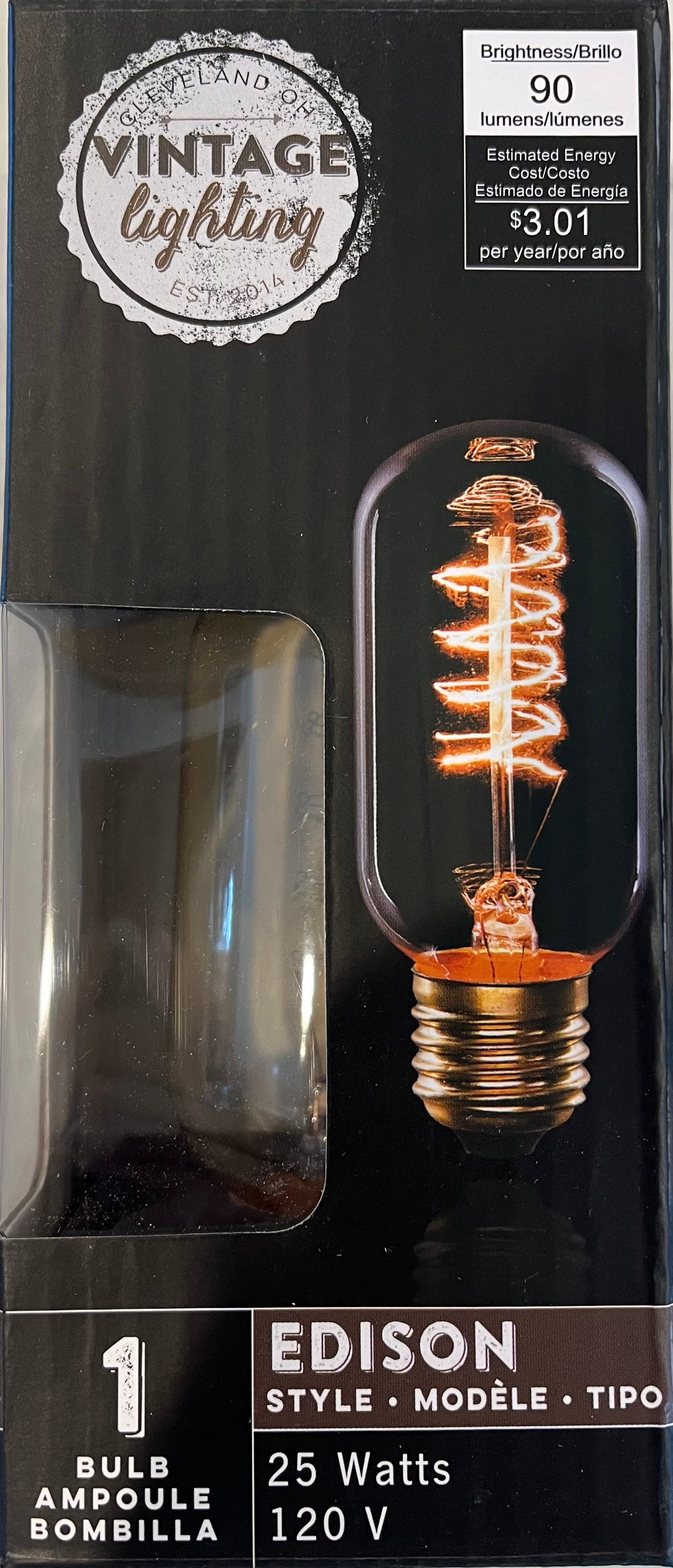 Edison style light bulb