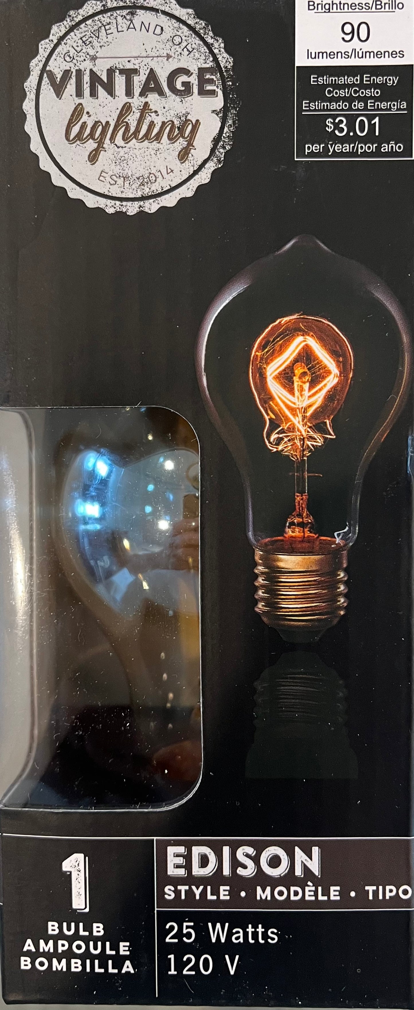 Edison style light bulb