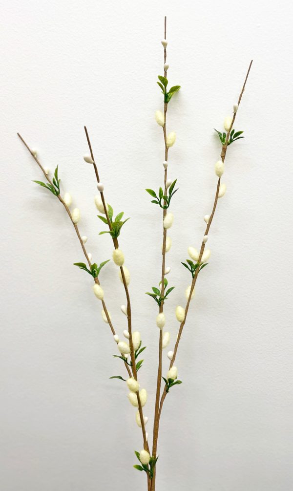Pussy willow spray