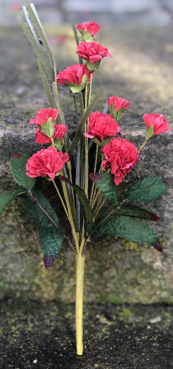 carnation foliage pick