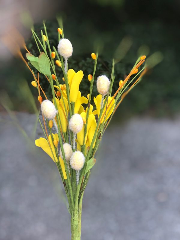 Forsythia, Pussy Willow and berry pick