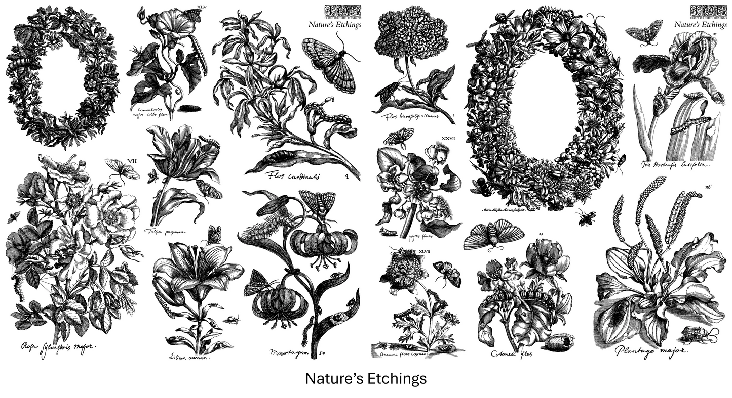 Nature’s Etchings - NEW 2026