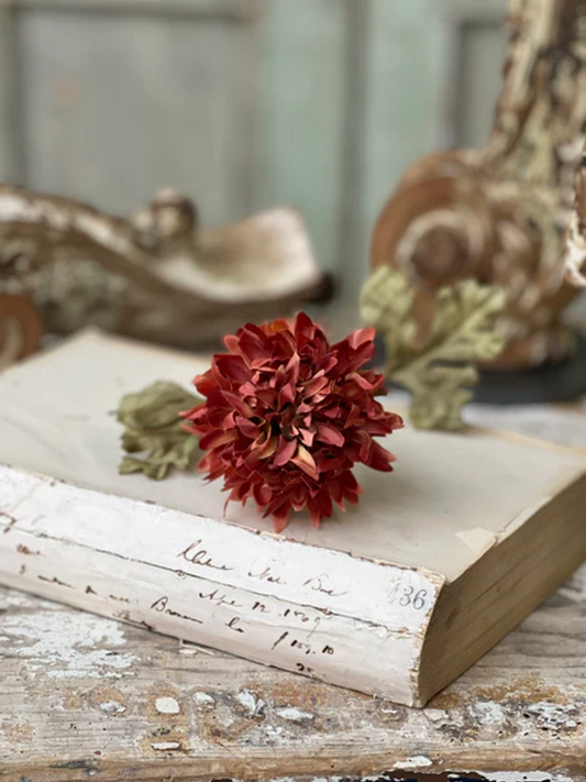 Pickadilly Mum single stem