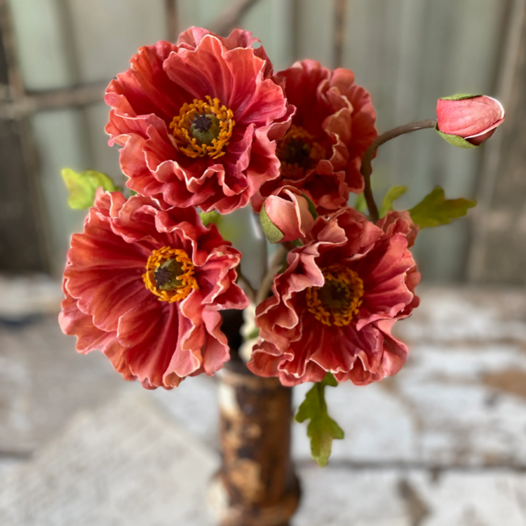 Poppy Bundle Ginger