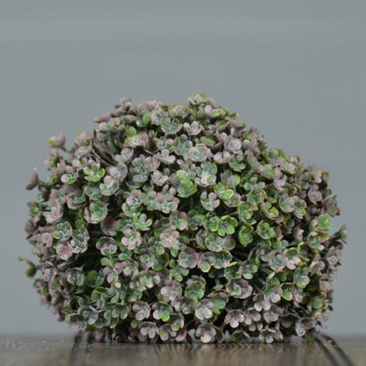 Sage Grass Orb 5"