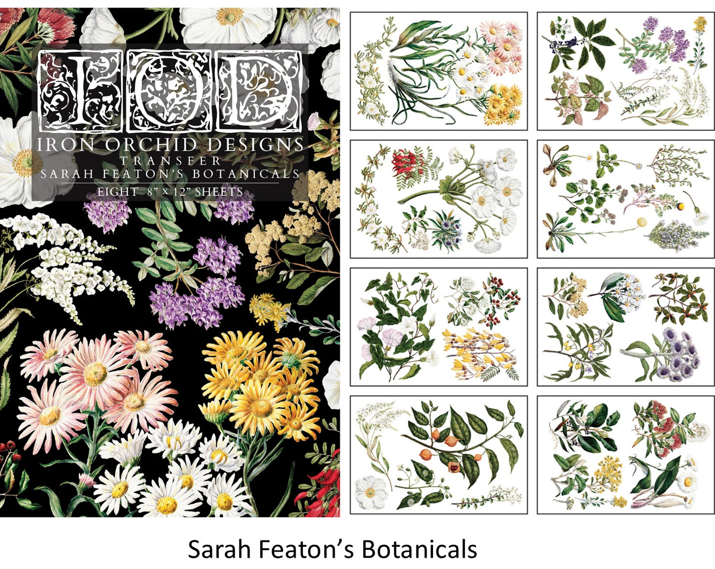 NEW 2025 Sara Featon's Botanicals - 8 sheet pad