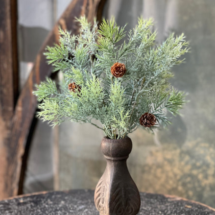 Stellar Cypress Bush 13"