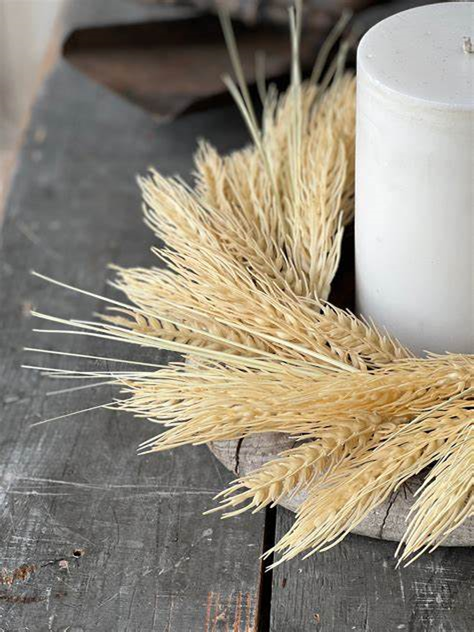 Sungold Barley 13" wreath