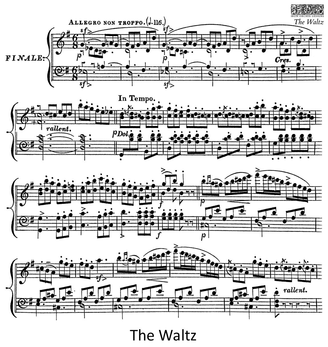 NEW 2025 - The Waltz