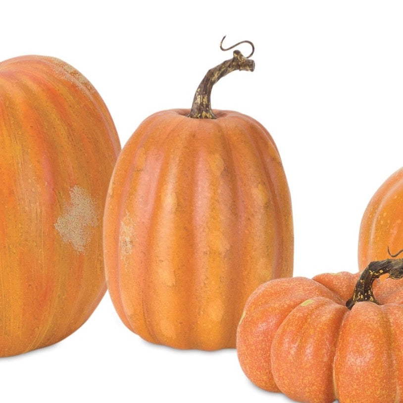 Realistic field pumpkins