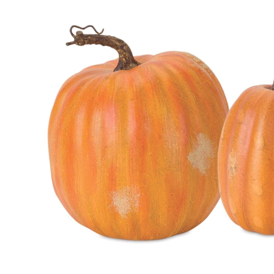 Realistic field pumpkins