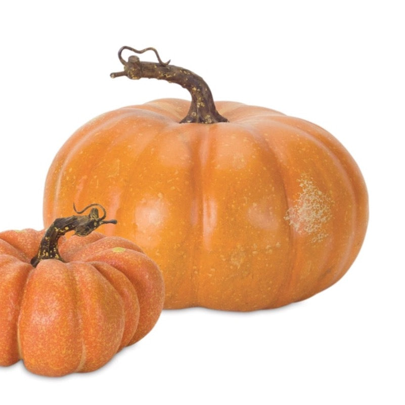 Realistic field pumpkins