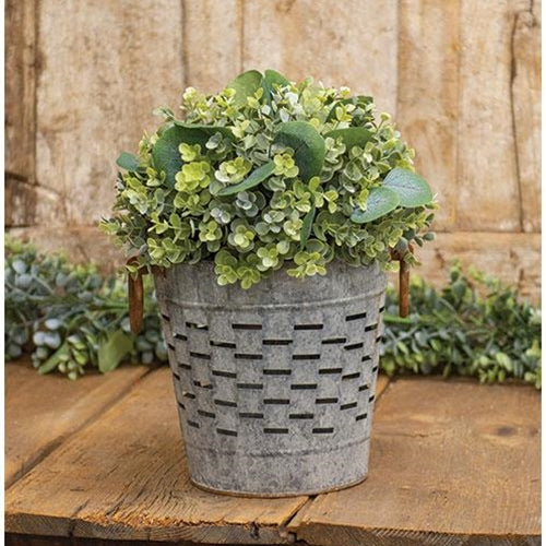 Enclave Eucalyptus Half Sphere