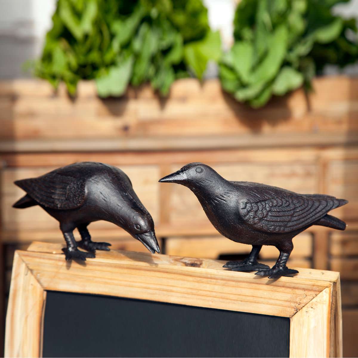 cast iron crows