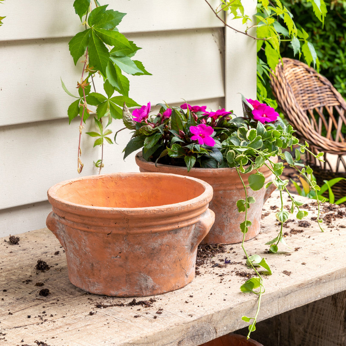 terra cotta planter pots low terrace planter small – Thistle & Co