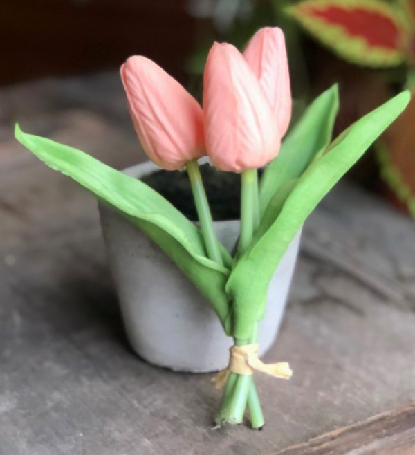 mini tulip bunch