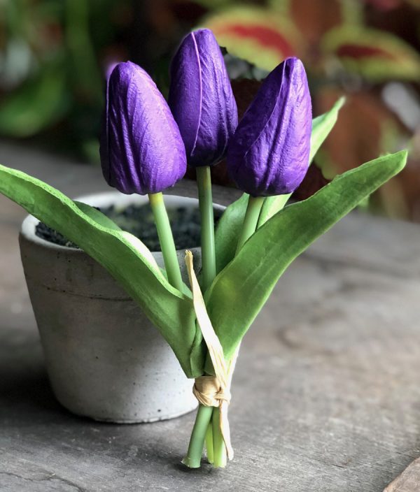 mini tulip bunch