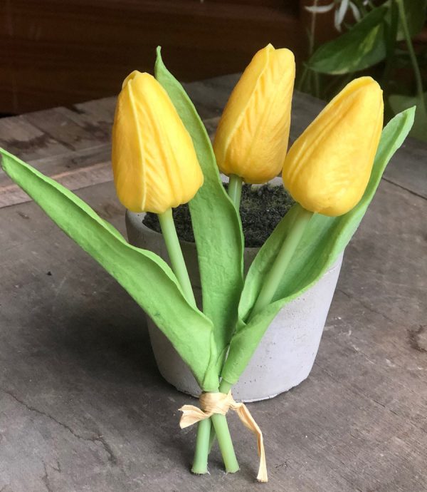 mini tulip bunch