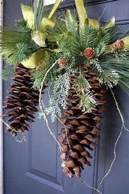 natural sugar pine cone