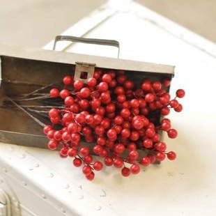 boxed berries waterproof