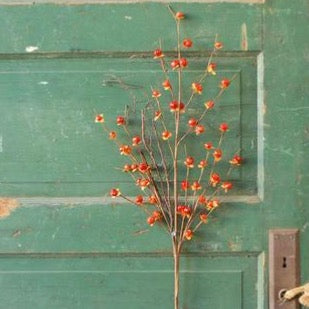 bittersweet spray