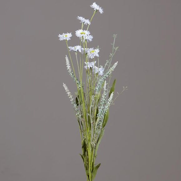 Mini Daisey 24" spray