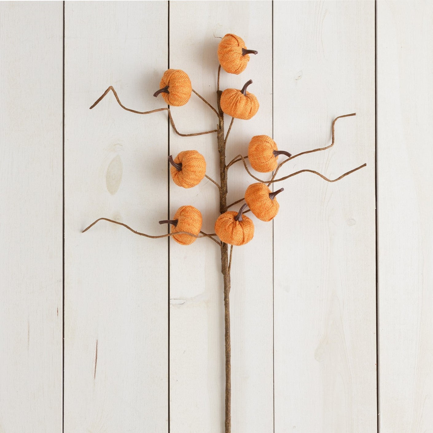 branch of mini pumpkins