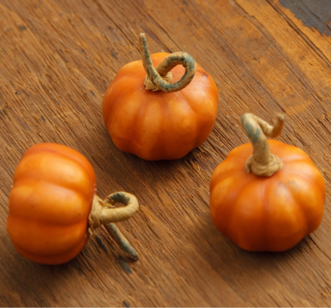 bag of mini pumpkins