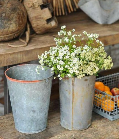 Sap Bucket