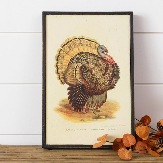 Turkey Print