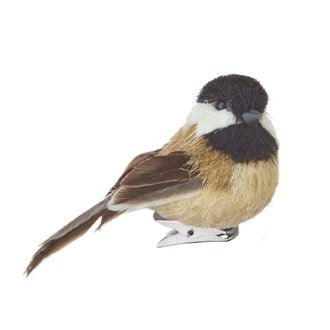 Clip on chickadee