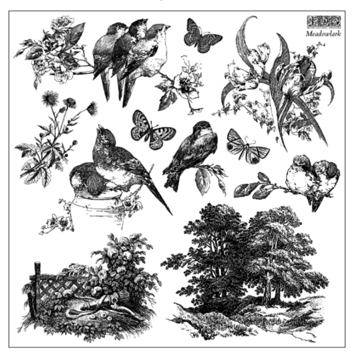 Meadowlark - 12x12 stamp - 2026