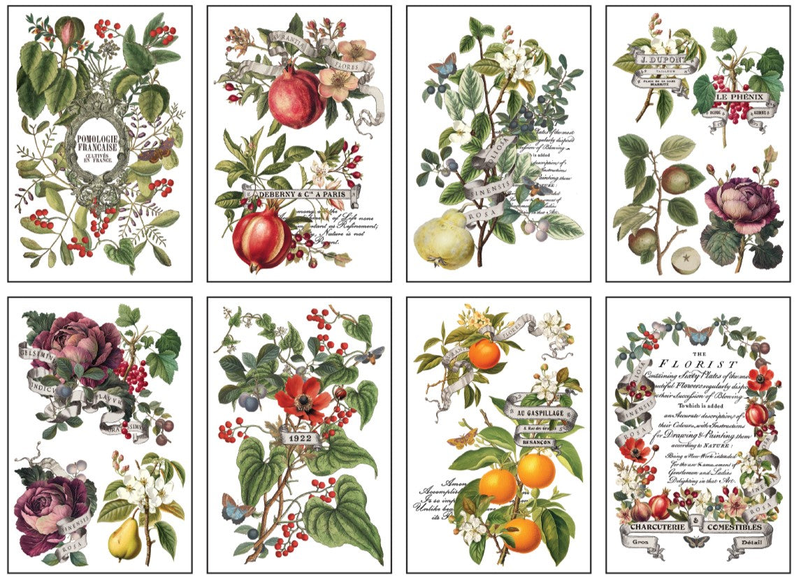 Clementine - 8x12 8 sheet pad - holiday 2025