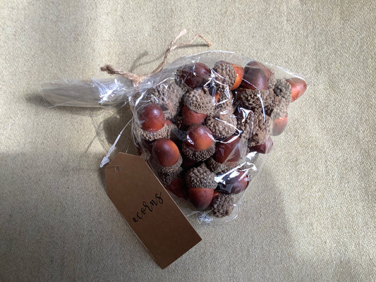 Bag of acorns