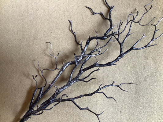 Black twig spray