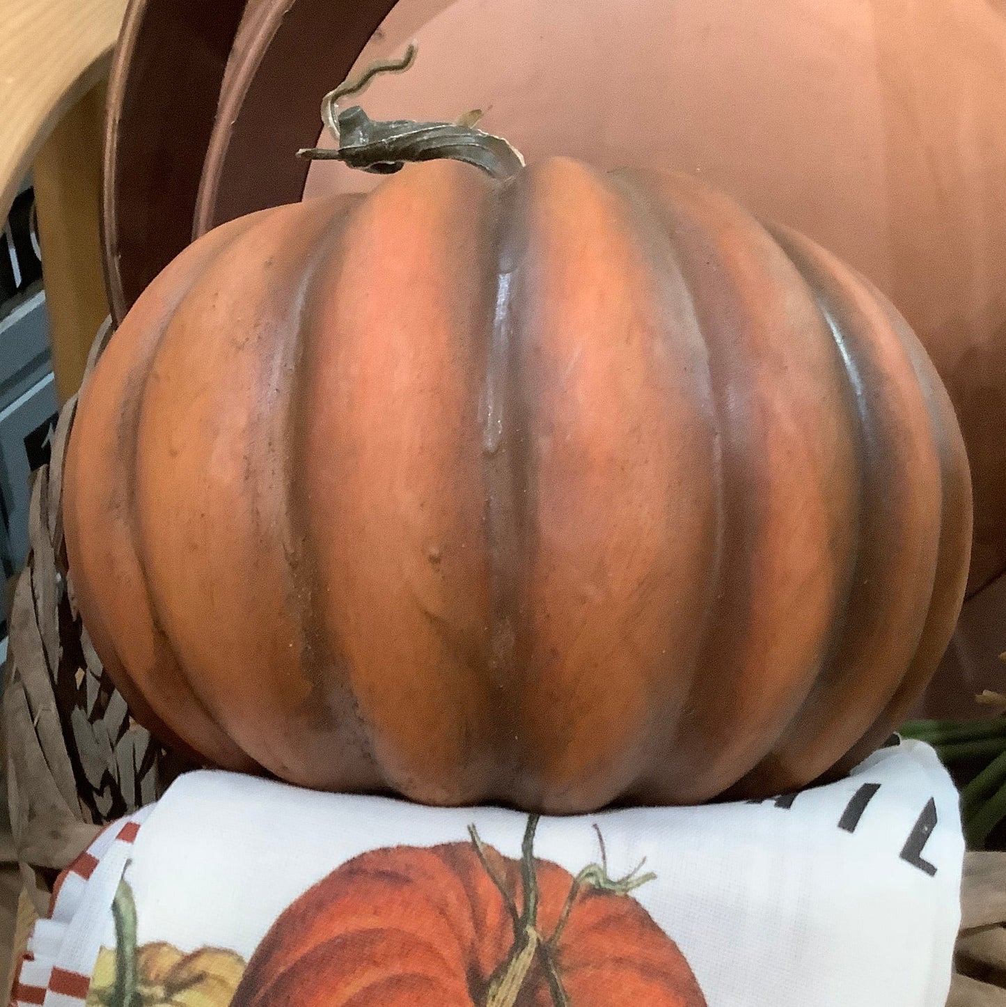 Pumpkin off the vine