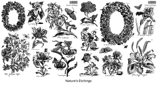 Nature’s Etchings -  NEW 2026