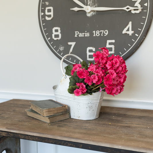 Geranium bush