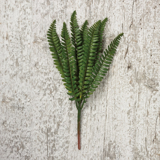 fern pick