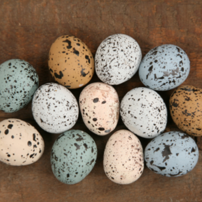 Speckled eggs