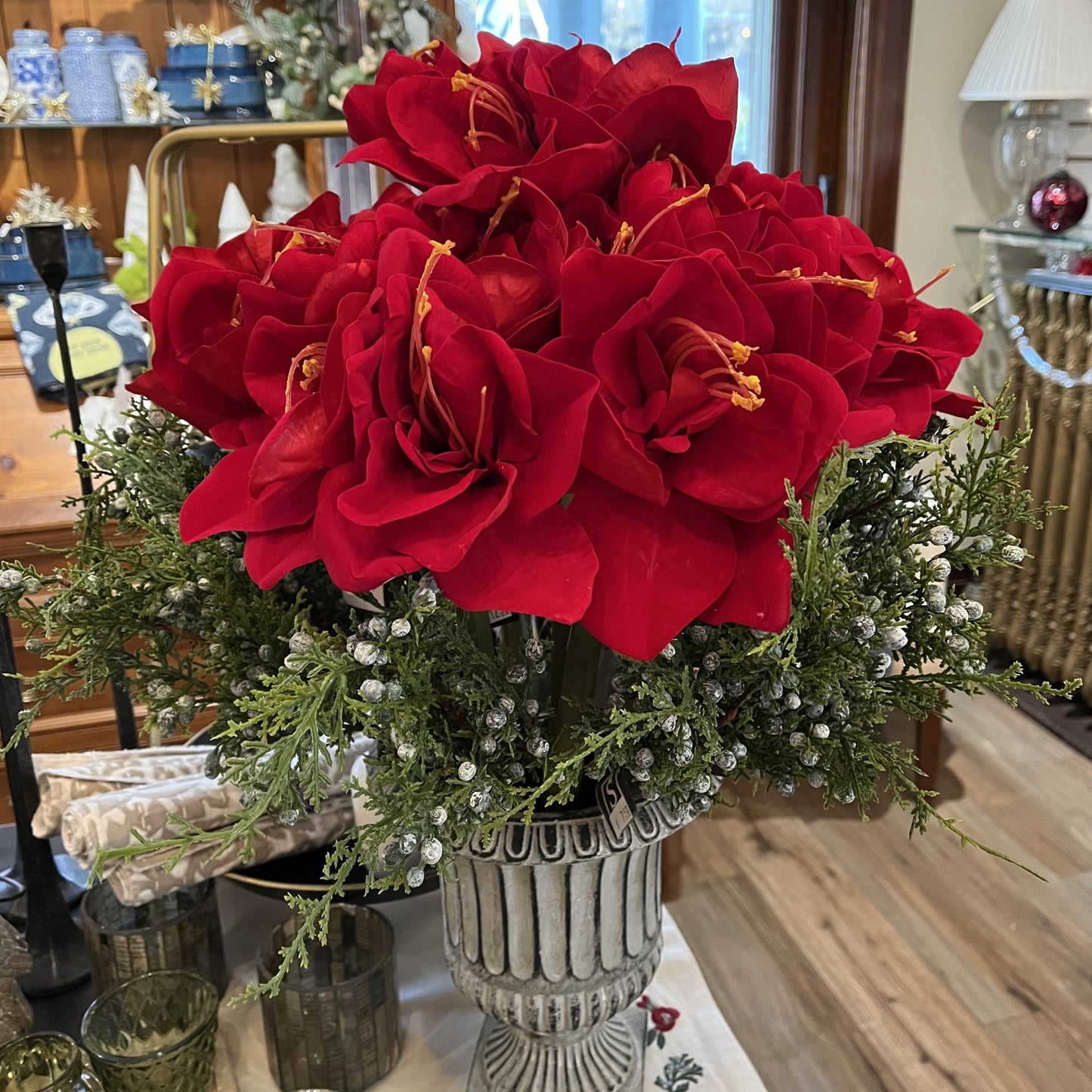 Red Amaryllis Stem