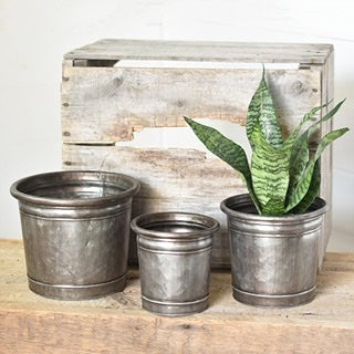 fat rim metal planter