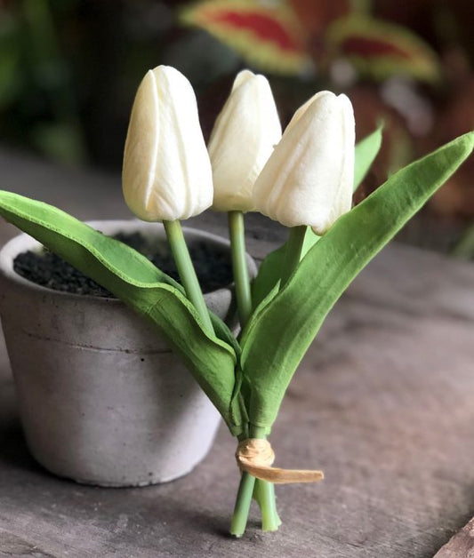 mini tulip bunch