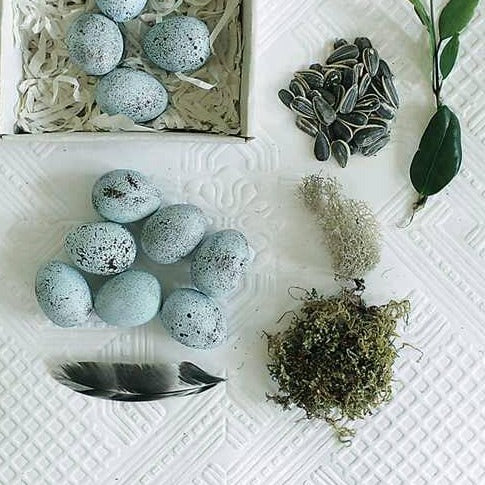 speckled blue eggs