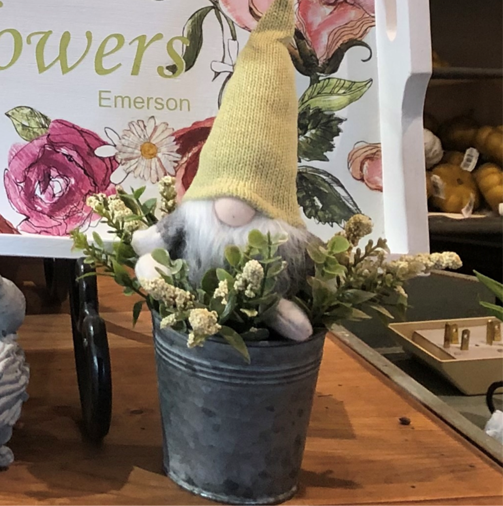 gnome in pot
