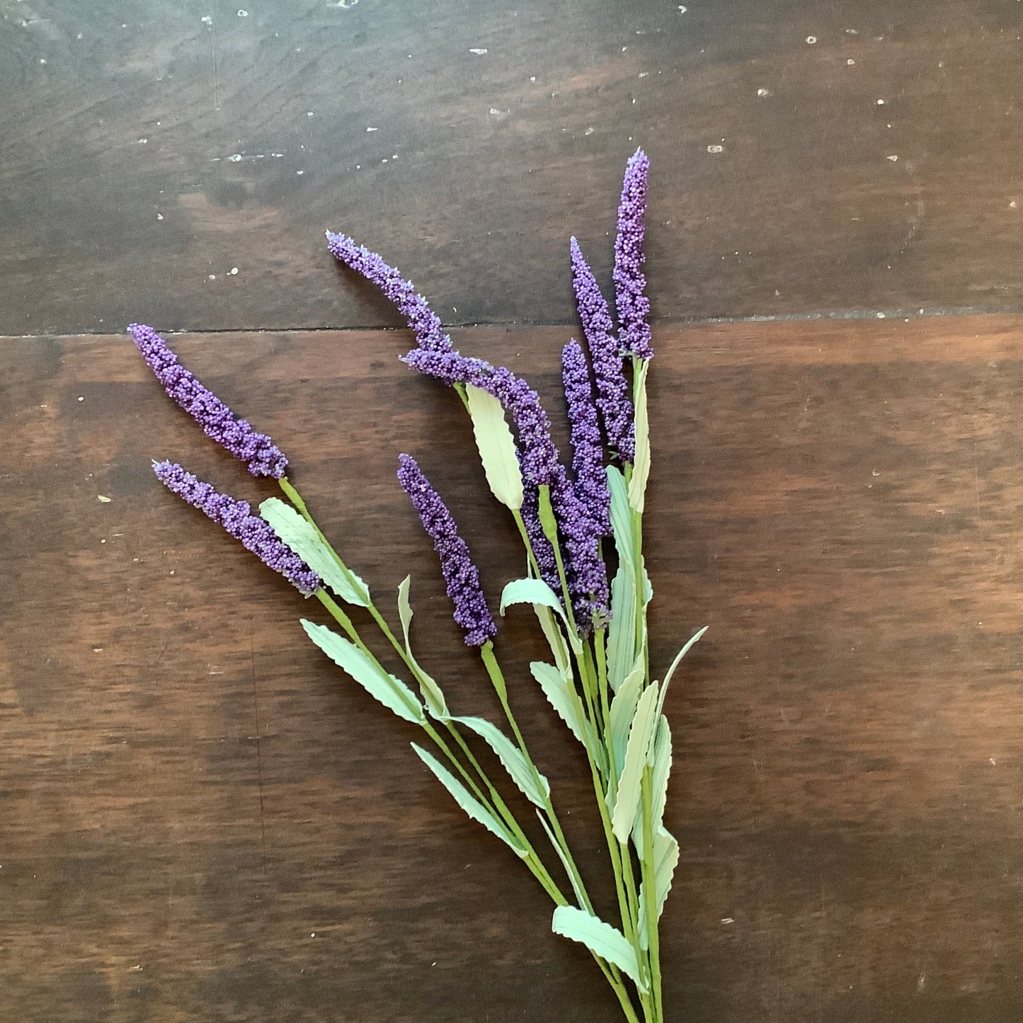 lavender bunch