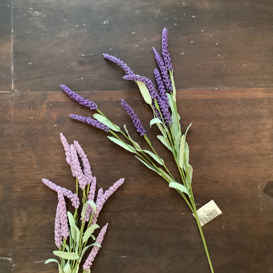 lavender bunch